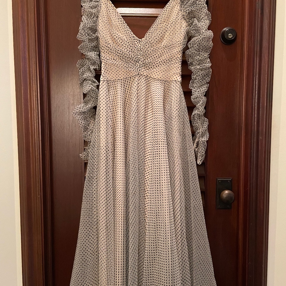 Zimmermann Women's Natural Tempest Ballet Polka Dot Tulle Dress